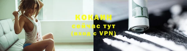 тгк Вяземский