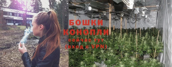 гашик Вязники