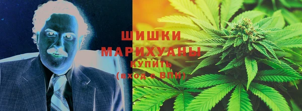 тгк Вяземский