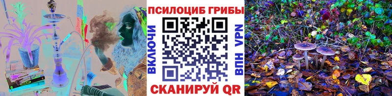 Галлюциногенные грибы мицелий  Волгоград 