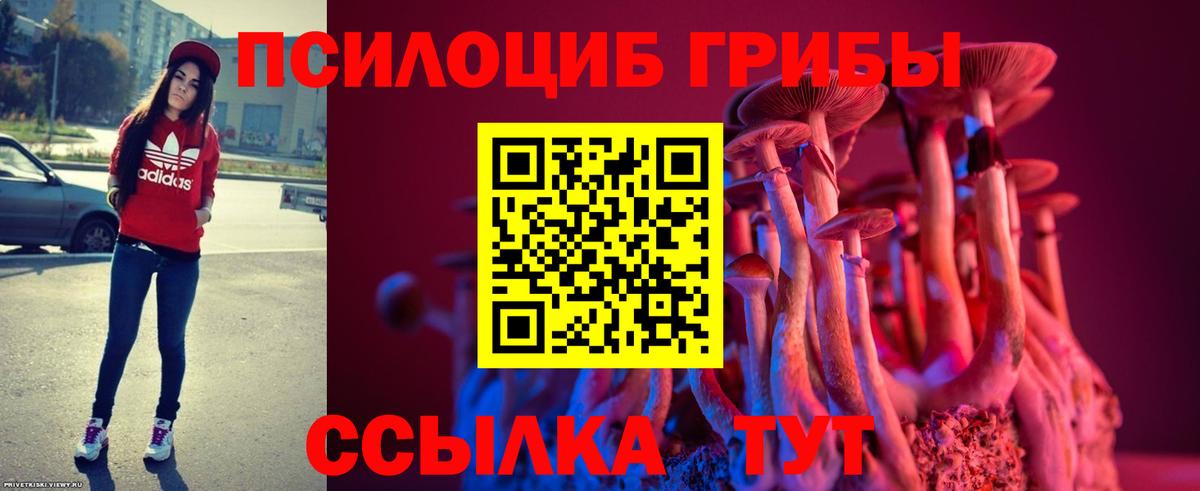 Галлюциногенные грибы ЛСД  Вход с VPN  Галлюциногенные грибы Psilocybine cubensis  Волгоград 