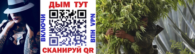 Шишки марихуана SATIVA & INDICA  Волгоград 