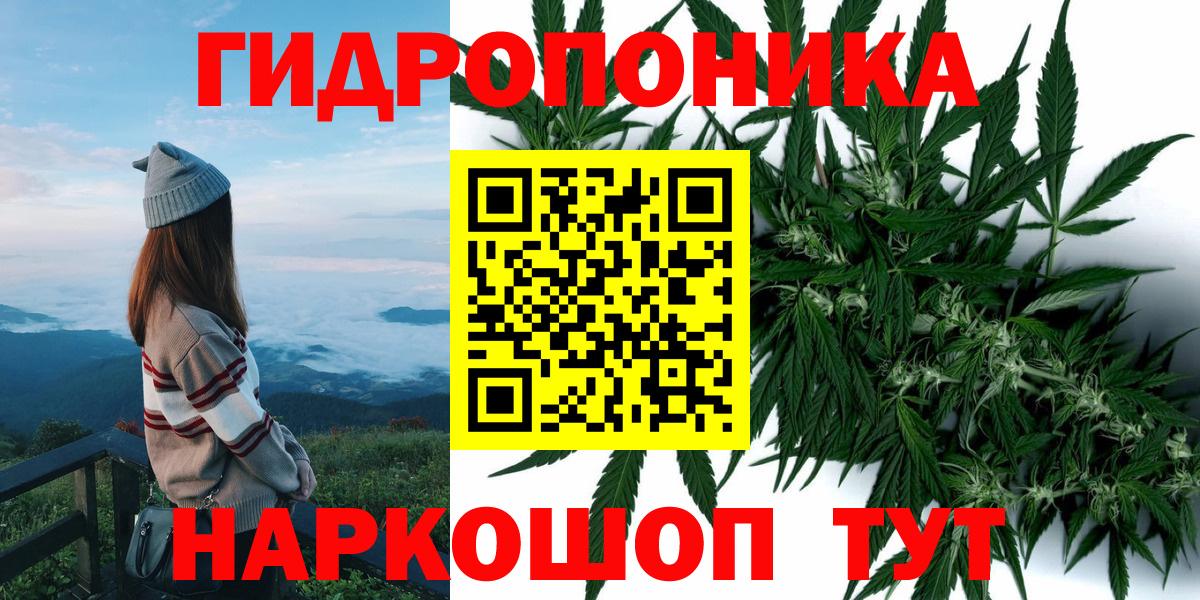 Конопля план  Каннабис конопля  Волгоград  Канабис VHQ  Вход с VPN 
